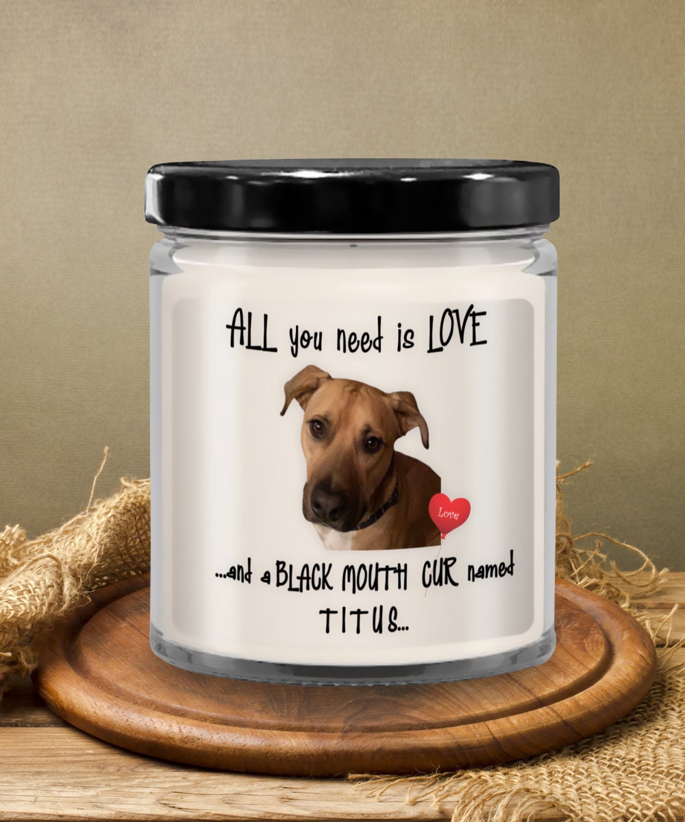 All you need is love and a black mouth cur named Titus