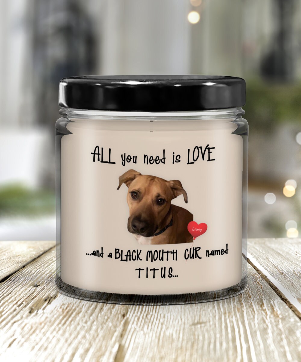 All you need is love and a black mouth cur named Titus