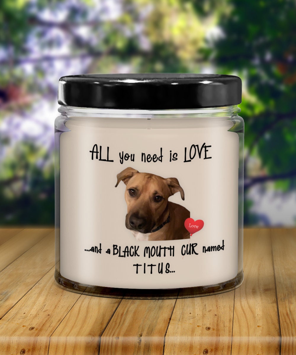All you need is love and a black mouth cur named Titus