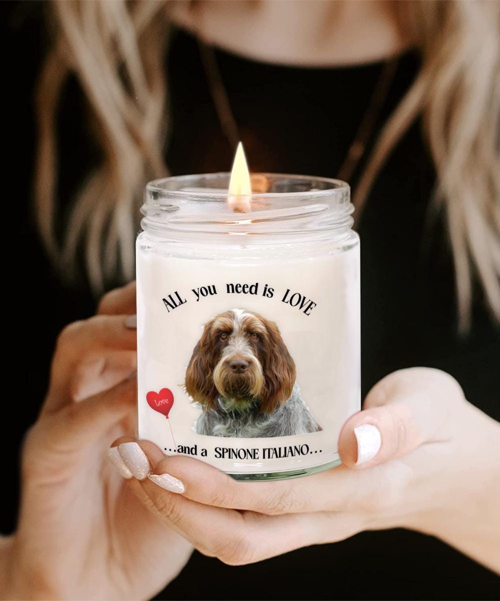 Spinone Italiano All you need is love and a spinone italiano