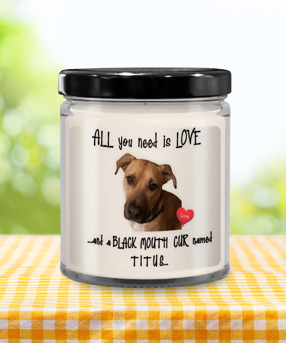 All you need is love and a black mouth cur named Titus