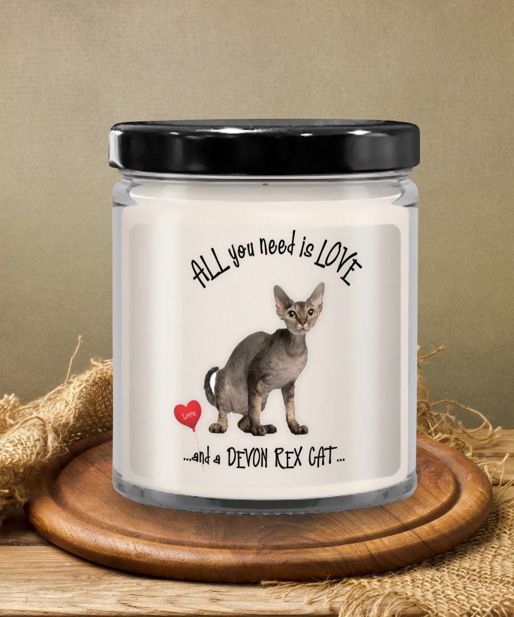 Devon Rex Cat Candle for Cat Lovers All You Need Is Love