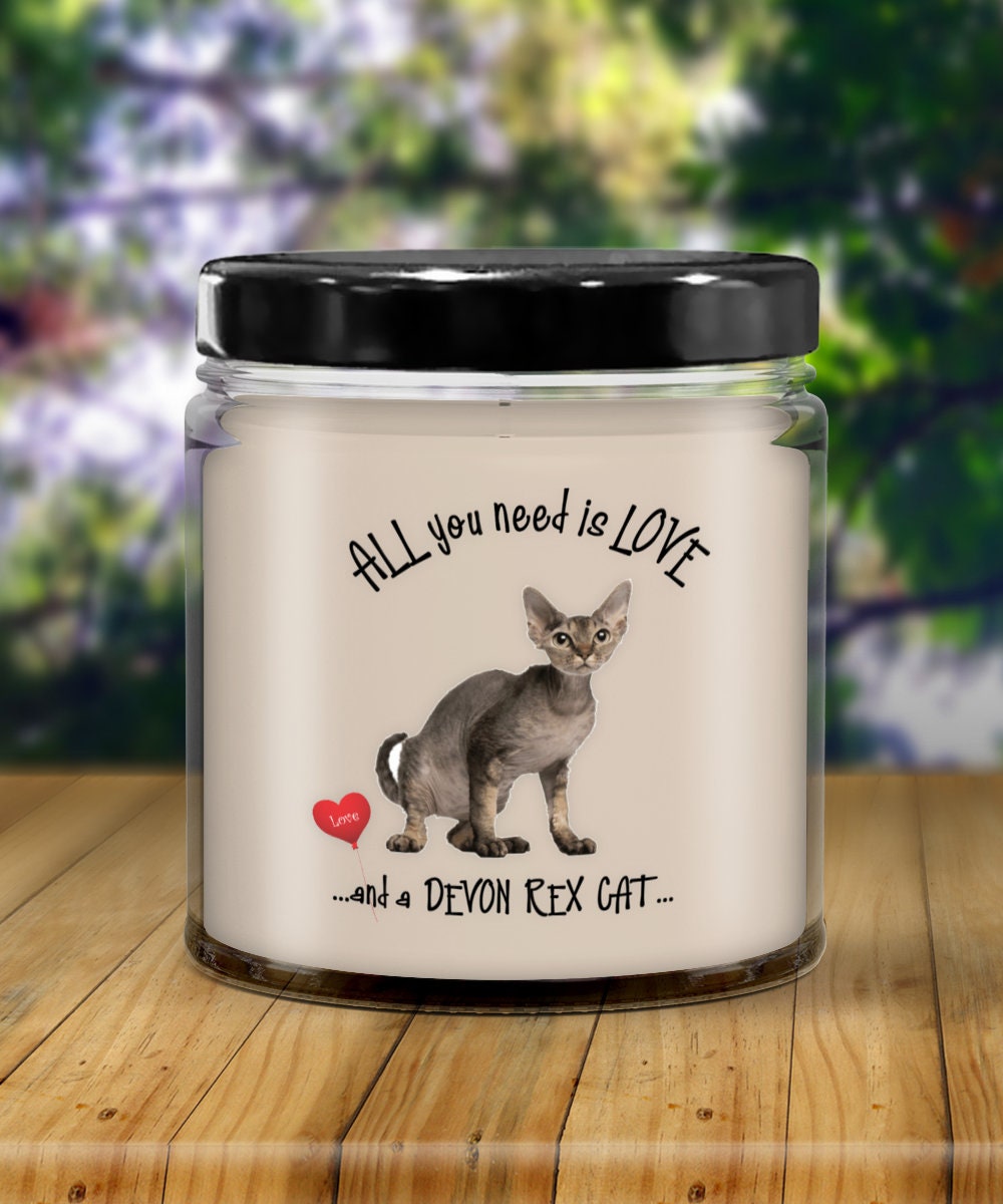 Devon Rex Cat Candle for Cat Lovers All You Need Is Love