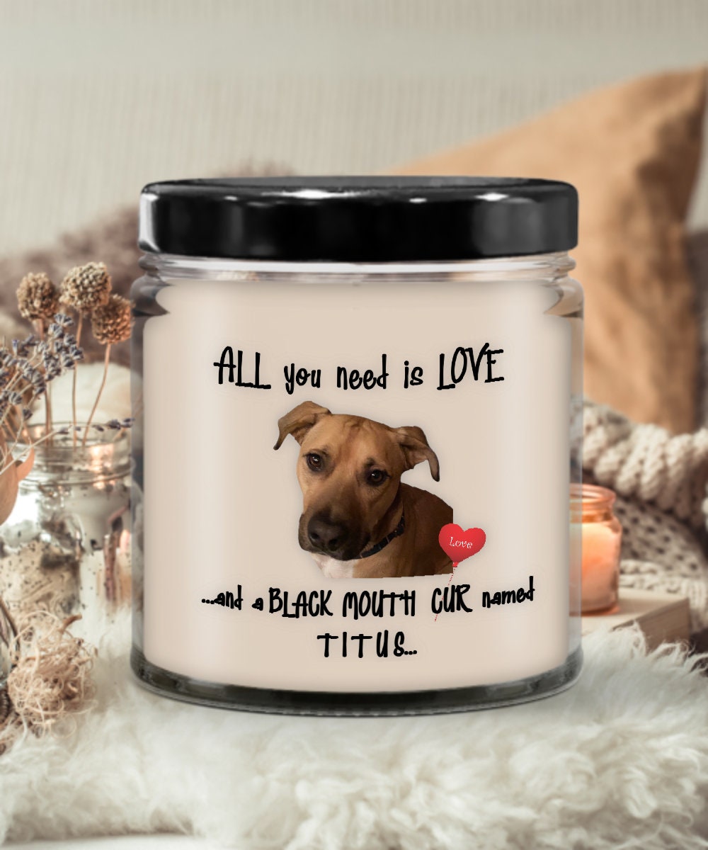 All you need is love and a black mouth cur named Titus