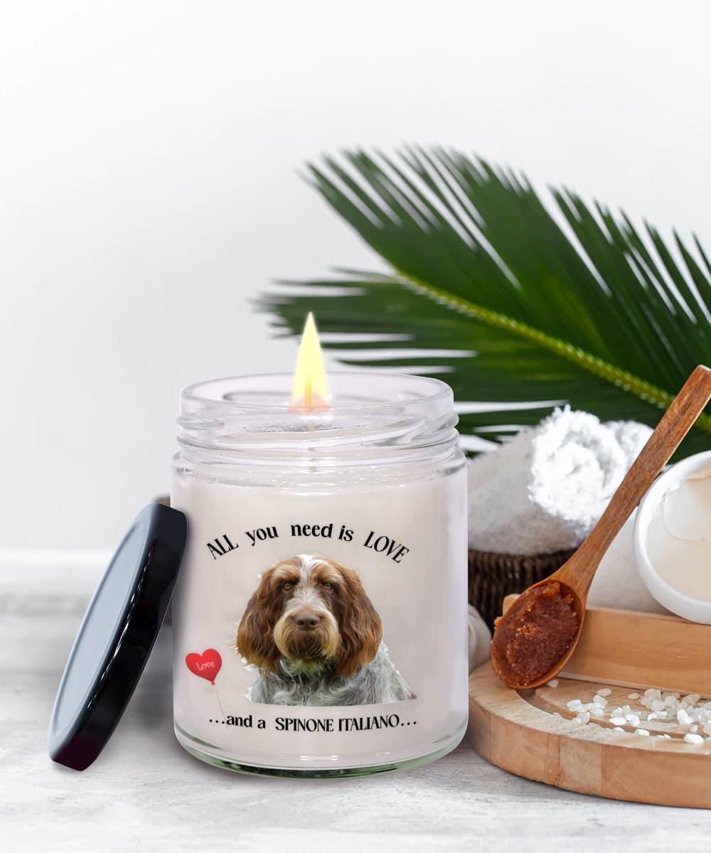 Spinone Italiano All you need is love and a spinone italiano
