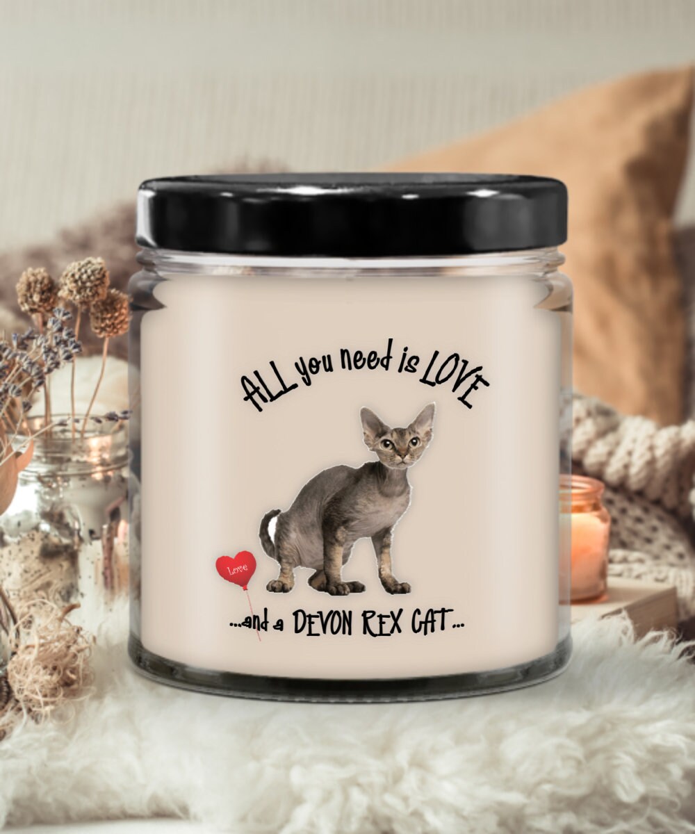 Devon Rex Cat Candle for Cat Lovers All You Need Is Love