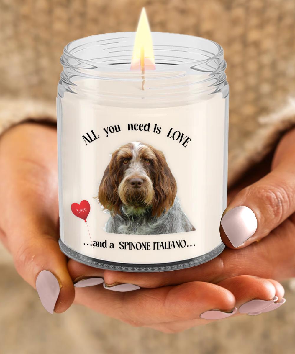 Spinone Italiano All you need is love and a spinone italiano